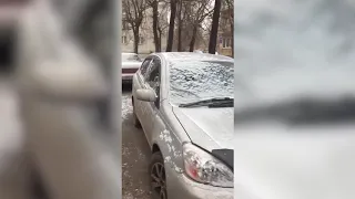 В Красноярске щенка заперли в машине на морозе