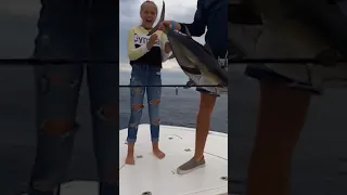 Girl Catches Huge Tuna.  Needs Help From Dad At The End!  💪 #blackfintuna #youtubeshorts #fishing