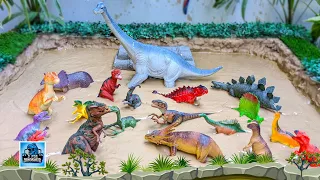 Big Brachiosaurus Meets Herbivore & Carnivore Dinosaurs Stuck in Mud! | Fun Learning for Kids