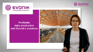 Profitable dairy production with Evonik's solutions | Evonik