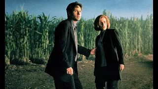 X-Files