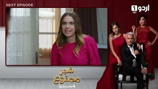 Shajar-e-Mamnu | Episode 341 Teaser | Turkish Drama | Forbidden Fruit | Urdu Dubbing | 30 March 2022