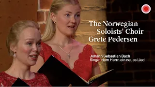 J. S. Bach: Singet dem Herrn ein neues Lied / The Norwegian Soloists' Choir / Grete Pedersen