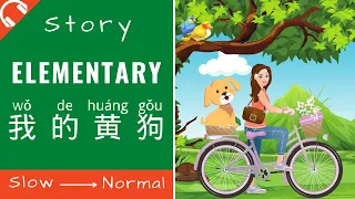 我的黄狗 Mandarin Chinese Short Stories for Beginners | Elementary Chinese Reading and Listening HSK2/3