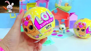 FUNNY PETS FAILSLOL Surprise Pets Stay At Littlest Pet Shop Cat Hotel - Toy Video Cookie Swirl C