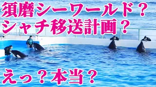 「神戸須磨シーワールド」に鴨川シーワールドのシャチを移送？神戸須磨水族園 ラビー ララ ラン ルーナ