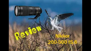 Nikon 200-500mm AF-S f/5.6 G ED Review en español