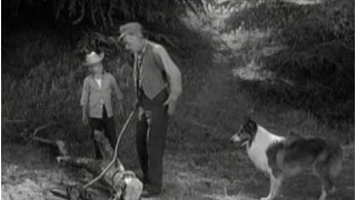 Lassie - Episode #262 - "Heat Wave" - Season 8, Ep. 7 -  10/22/1961