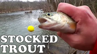 Stocked Trout Fishing Tips for Beginners - How to Catch Stocked Trout