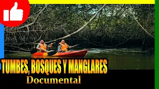 🔴 DOCUMENTAL: Tumbes, Bosques y Manglares de Alejandro Guerrero