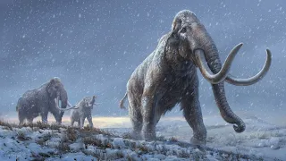 Million-year-old DNA sheds light on the genomic history of mammoths - Patrícia Pečnerová