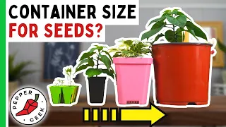 Which Container Size Is Best For Planting Seeds? - Pepper Geek