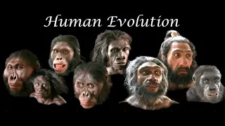 Grade 12 life sciences: introduction to human evolution. PART 1 | M.Saidi.| ThunderEDUC