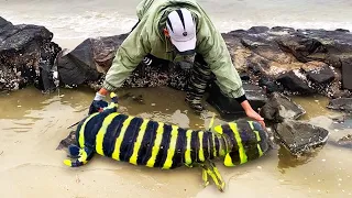 A Cong met a new species in the sea  and his whole body turned yellow and changed to make him tremb