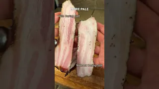 Bacon Experiments - Wet vs Dry Cure. With and without Pink Curing Salt