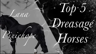 || TOP 5 SSO DRESSAGE HORSES ||  Lana Pixiehope