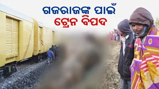 Odisha: 2 Elephants Die After Being Hit By Goods Train In Rourkela || KalingaTV