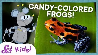 Why Are These Frogs So Colorful? | SciShow Kids