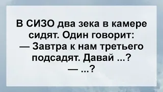 Сидят Два Зека в Камере. Один Предлагает ...! Свежие Анекдоты Для Супер Настроения!