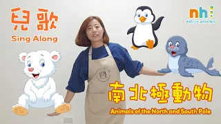 幼兒律動兒歌 | 唱唱跳跳學中文 | 南北極動物 | 中文歌曲 | Nursery Rhyme | Animals of the North and South pole | Kids | STEM