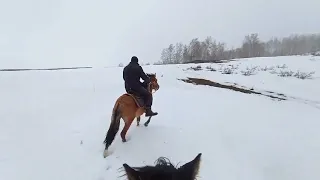 Что там с табуном? Едем проведать...