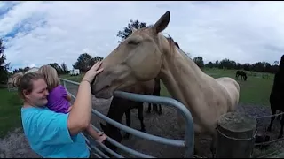 360 Video - Marshall, Brittany, and Hayleigh and the Horses