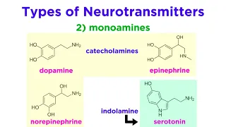 Neurotransmitters: Type, Structure, and Function