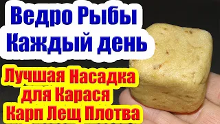 Ведро Карася каждый день. Насадка на Карася Карп Лещ Супер Рыболовная Насадка для карася