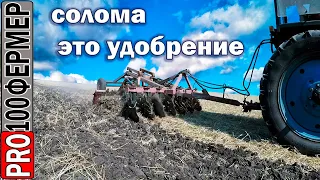 Два МТЗ дискуют поле. Превращаем солому в удобрение