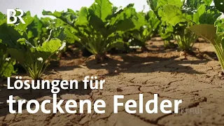 Trockene Felder und Wassermangel: So verändert der Klimawandel die Landwirtschaft | Unkraut | BR