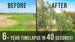 Watch trees grow in 40 seconds! A 6.5 year timelapse!