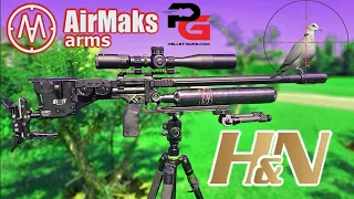 AirMaks KRAiT X and H&N 30gr HPII slugs =Deadly