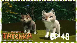 Accusé à Tort 🐺 Les légendes de Tatonka 🐺 Dessin animé en français