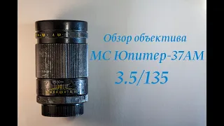 Обзор объектива МС Юпитер-37АМ 3.5/135