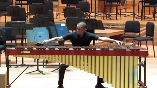 Emmanuel Séjourné-Concerto for marimba and string orchestra