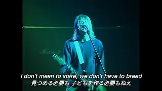 【和訳】Nirvana - Breed (Live at Paradiso, Amsterdam, 1991)