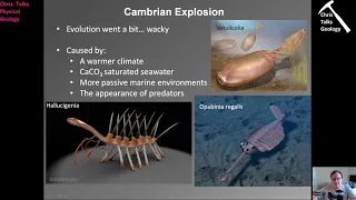 Lecture 17 - Geologic Time Part 2