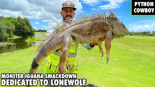 The Best Iguana Captures Compilation Dedicated to Lonewolf