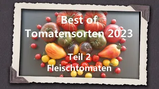 Best of Tomaten 2023 Teil 2 - Fleischtomaten