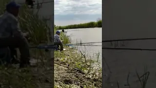 Рыбалка Константина на реке Кулунда