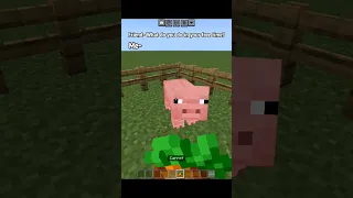 Pigman? #minecraft #shorts