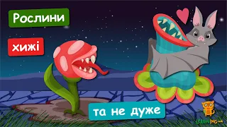 Дива природи. Явища навколо нас. Хижі рослини роду Nepenthes