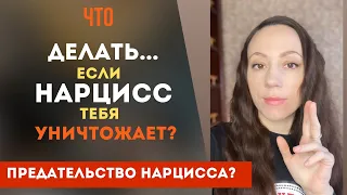 Нарцисс уничтожает тебя! Что делать? Женщина нарцисс - это ад! Часть 2