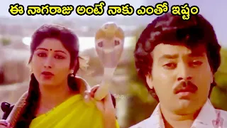 A GIRL WHO LOVES  NAGARAJU | SHIVARATRI |SARATH BABU | SHOBANA | BABY SHAMILI | TELUGU CINE CAFE