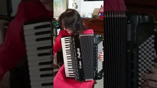 Non Piu Andrai - arrangement for Accordion (Live Performance)