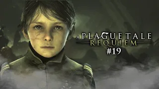 A Plague Tale: Requiem #19 » Пустота