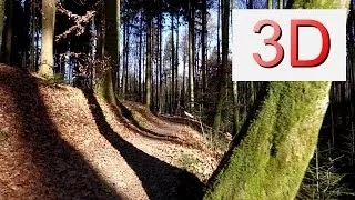 3D Video 4K: FEBRUARY FOREST WALK (4K Resolution)