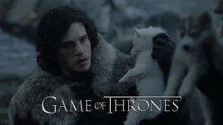 GAME OF THRONES 4K HDR | Direwolf Puppies (S1E1)