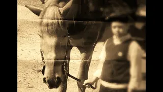 Romanien hevostaidot - Hevosnainen Anceliga Vironen