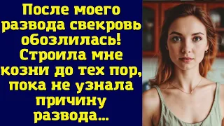 После моего развода свекровь обозлилась! Строила мне козни до тех пор, пока не узнала